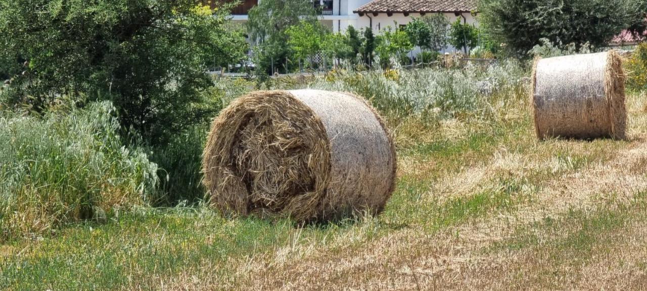 Masseria Milu' Сипонто Екстериор снимка
