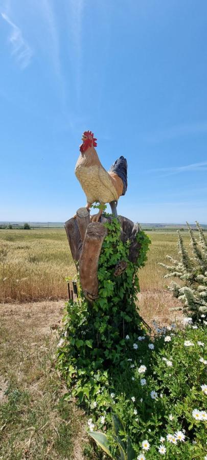 Masseria Milu' Сипонто Екстериор снимка